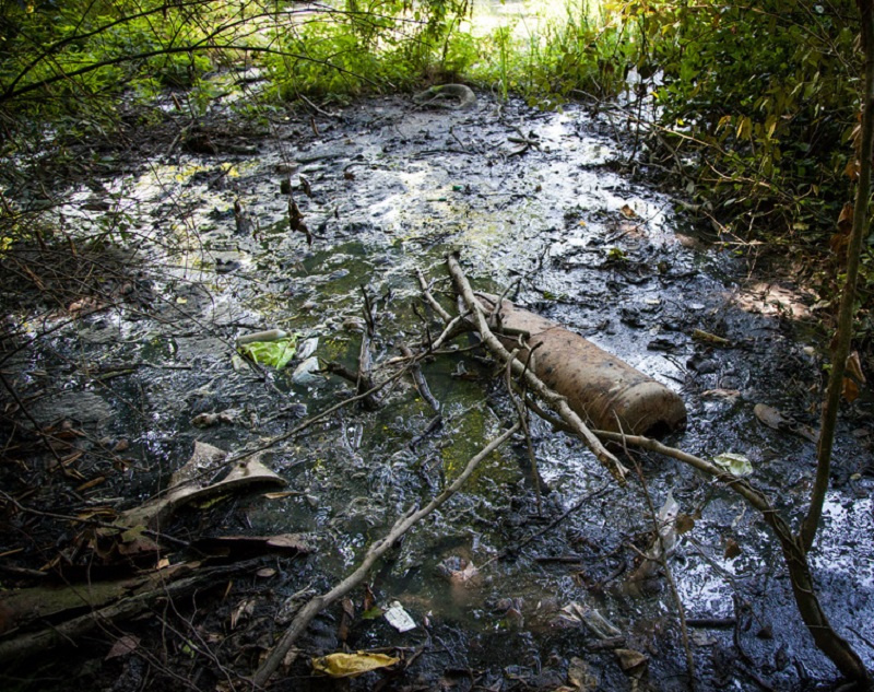 Загрязненный ручей. Кавардаковский ручей ярославль. Грязная река миус. Грязная река. Загрязненный ручей.